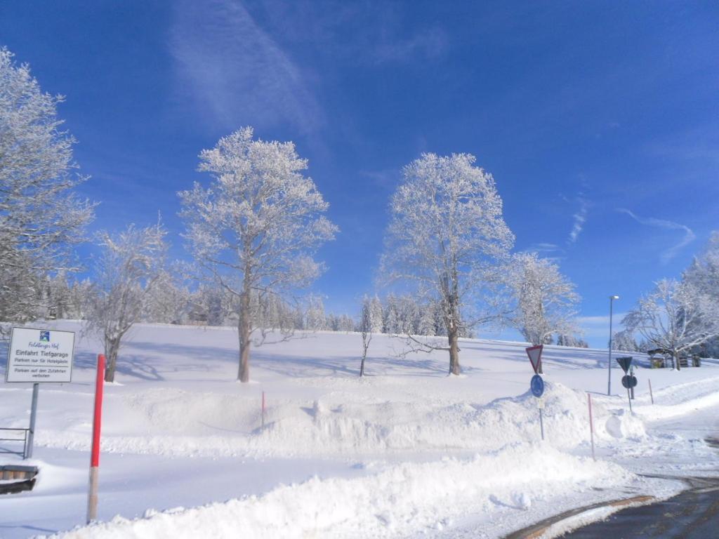 Landgasthaus Gemsennest Hotell Feldberg  Eksteriør bilde