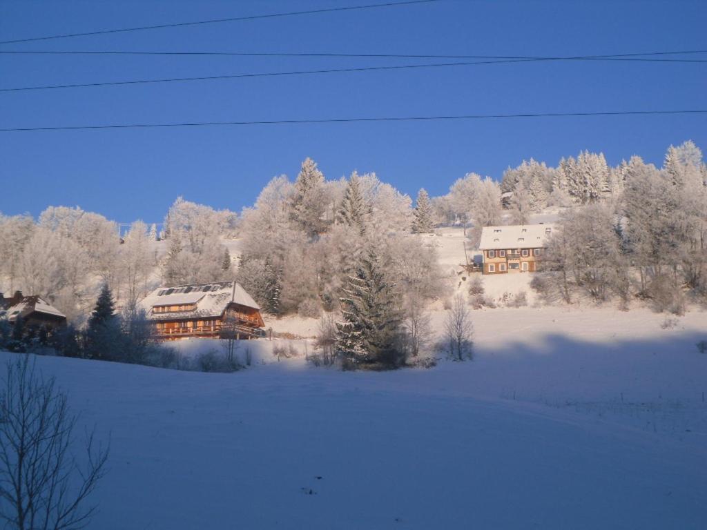 Landgasthaus Gemsennest Hotell Feldberg  Eksteriør bilde