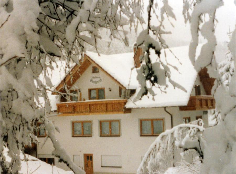 Landgasthaus Gemsennest Hotell Feldberg  Eksteriør bilde